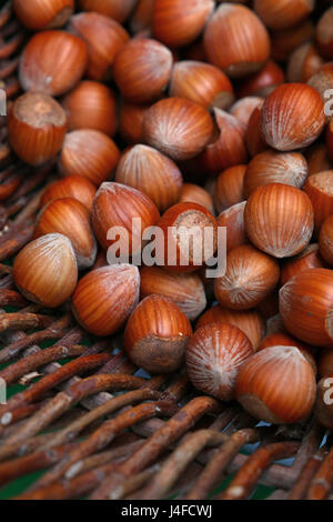 Tutta la grande marrone nocciola nocciole con guscio vicino fino in vimini rustico in legno cestello, ad alto angolo di visione Foto Stock