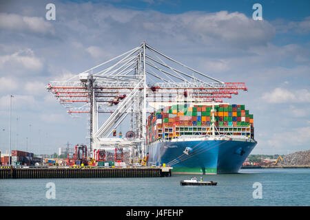 MOL trionfo di portacontainer a DP World container dal porto di Southampton Docks. MOL trionfo è uno dei mondi più grandi navi portacontainer Foto Stock