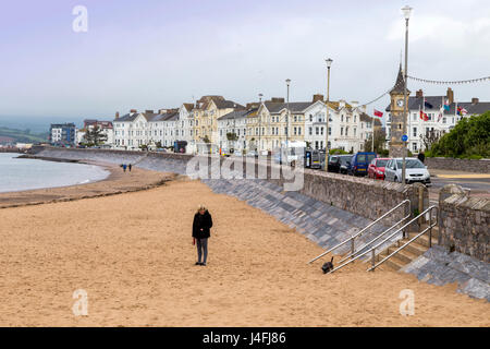 Una spiaggia a Exmouth che consente accesso ai cani durante ogni giorno dell'anno. Foto Stock