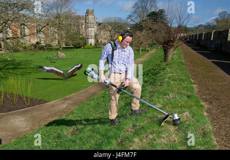 James cross, il capo giardiniere il taglio dell'erba nel palazzo del vescovo della Cattedrale di Wells (edificio in background) Foto Stock