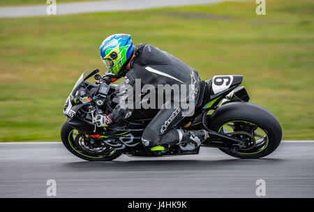 2017 YMF Australian Superbike, round 3, Winton Raceway (Victoria): Frost Sloan (NZ) Suzuki GSXR 1000 Foto Stock