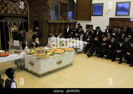 Israele, Bnei Brak, il rabbino Meir Rosenbaum presiede il Tu B'Shvat tish presso la Congregazione Premishlan Foto Stock