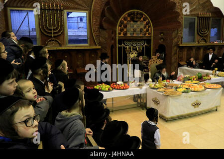 Israele, Bnei Brak, il rabbino Meir Rosenbaum presiede il Tu B'Shvat tish presso la Congregazione Premishlan Foto Stock