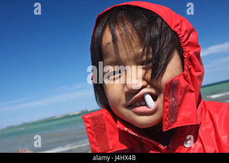 Scena da Sangstrup Klint in Danimarca Foto Stock