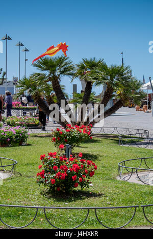 MARINA DI CECINA, Italia - 7 Maggio 2017: Largo Cairoli durante il Kite Festival e i fiori Foto Stock