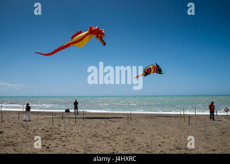 MARINA DI CECINA, Italia - 7 Maggio 2017: Largo Cairoli durante il Kite Festival e i fiori Foto Stock