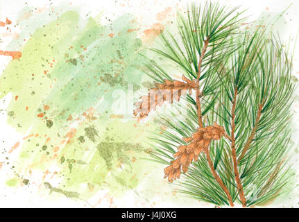 Grunge sfondo con Weymouth pine (Pinus strobus). Splash tecnica di vernice. Matite colorate e acquerello su carta. Foto Stock