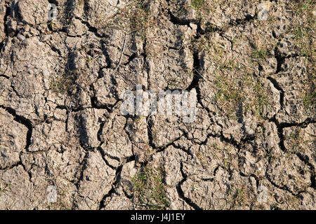 Incrinato il terreno asciutto Foto Stock