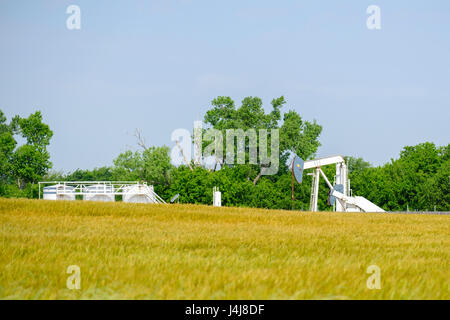 Un jack di pompa e serbatoio batteria dietro la maturazione di un campo di grano in Oklahoma, Stati Uniti d'America. Foto Stock