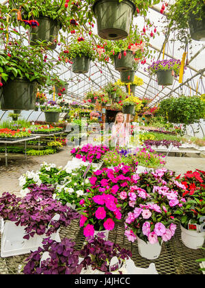 La donna caucasica negozi per vasi di fiore piante in una serra commerciale. Foto Stock