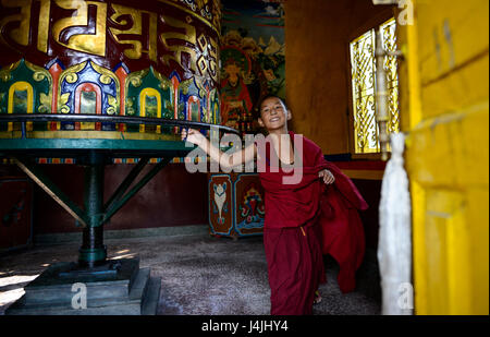 Il Nepal Pokhara, campo profughi tibetano Tashi Ling, Shri Dhargyaling Gaden Monastero, giovane debuttante Lobsang Ngawang cirlce intorno alla preghiera mill / tibetisches Fluechtlingslager Tashi Ling, Shri Dhargyaling Gaden Monastero, Junge Lobsang Ngawang, 11 Jahre, lebt seit 2012 im Kloster, stammt aus tibetischer Nomadenfamilie in Mustang superiore, dreht und umrundet Gebetsmuehle Foto Stock