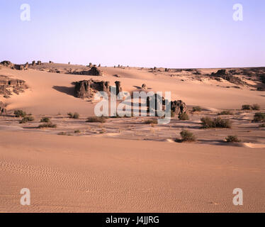 Algeria, Sahara, del Tassili N'Ajjer national park, Djanet, deserto di sabbia, roccia arenaria Africa, deserto, paesaggi selvaggi, sabbia, rock, rock, bile formazioni, formazioni di arenaria, erosione, la natura, la scarsa, secchezza, calore, penuria d acqua, vita-hostilely Foto Stock