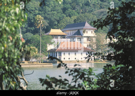 Sri Lanka, Kandy, Dalada Maligawa tempio, temple view, Lago Kandy Asia, Asia del Sud, Stato insulare, Sri Lanka Prajatantrika Samajavadi Janarajaya, isola, Kandi, città e luogo di interesse, zona palazzo, tempio del santo cog, religione, Buddismo, fede, struttura, buddista, architettura, acqua, stagno, artificialmente investito, piante, arbusti e vegetazione Foto Stock