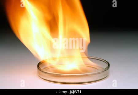 Piastra di petri con fiamme, illustrazione. Foto Stock