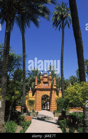 Spagna, Andalusia, Siviglia, Alcazar, giardino, ingresso obiettivo Europa, Andalusia alcazar reale, park, parco, obiettivo edificio, gate, struttura, colorfully, arancio-giallo, palme, palm giardino, luogo di interesse Foto Stock