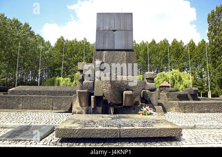 Polonia, Birkenau, museo statale, campo di prigionia, monumento, scultura in pietra Europa, Rzeczpospolita Polska, piccole espansioni, Auschwitz II, campo di concentramento, Wojew½dztwo Malopolskie Oswiecim, seconda guerra mondiale, guerra storia, distruzione del magazzino, SS-distruzione magazzino del prigioniero di guerra del magazzino, distruzione di massa, l'anti-semitismo, memorial, raccoglimento, UNESCO-patrimonio culturale mondiale, luogo di interesse Foto Stock