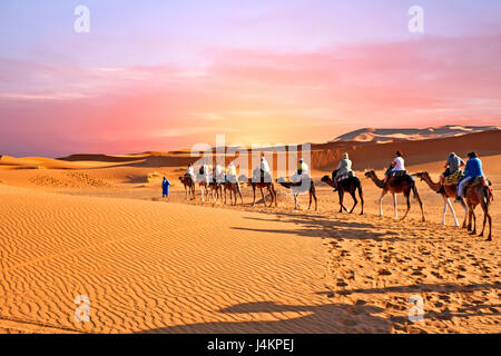 Camel caravan andando attraverso le dune di sabbia nel deserto del Sahara, Marocco al tramonto Foto Stock