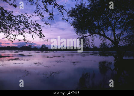 Sri Lanka, Kandy, lago, atmosfera serale Asia del Sud, isola, isola di stato, provincia centrale, Distretto Capitale, Lago Kandy, Kandy, salamoia, natura, acqua, silenzio, riposo, tuning, sera, tramonto, crepuscolo, crepuscolo Foto Stock