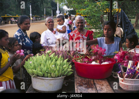 Sri Lanka, Buddha ammirazione, credenti, offrendo fiori Asia del Sud, isola, isola di stato, la fede e la religione, Buddismo, offrendo, contributi, ammirazione, Buddha, il rito e il cerimoniale, pellegrina del sito, sito sacrificale, buddista, persona, uomini, donne, lotuses, sacrificio, nessun modello di rilascio! Foto Stock