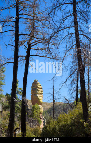 Pinnacoli di roccia da Echo Canyon Loop Trail, Chiricahua National Monument in Arizona Foto Stock