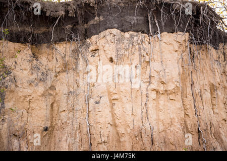 Gli strati di terra in una fossa di creta Foto Stock