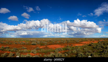 Gli ampi spazi aperti di campagna vicino a Broken Hill. Far Western New South Wales, Australia. Foto Stock