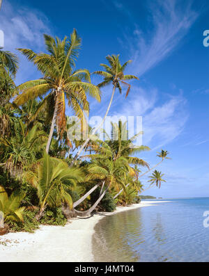 Nuova Zelanda, Isole Cook, Aitutaki, un piede in Islanda, Palm Beach Nuova Zelanda, Sud le isole Cook, nel Pacifico Isole del Pacifico, Polinesia,, spiaggia sabbiosa, palme, Palm Island, l'Oceano Pacifico, mare, spiaggia da sogno, vacanza da sogno, meta di vacanza, destinazione Foto Stock