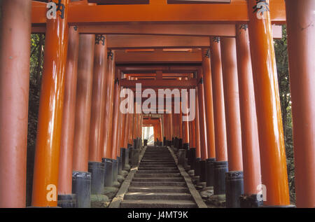 Giappone, Kyoto Fushimi Inari shrine, obiettivi in legno Asia, Asia orientale, isola di stato, Nippon, Nihon Koku, Honshu, luogo di interesse storico, 10000 Torii, lavori in legno rosso-verniciato, Fushimi Inari shrine, religione, fede, Buddismo Foto Stock