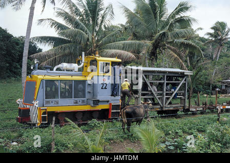 Pacifico del Sud, Isole Fiji, Viti Levu, Coral Coast, treno di canna da zucchero, gli uomini nessun modello di rilascio! Oceania, Melanesia, isola, economia, treno, traiettoria, locomotiva e mezzi di trasporto ferroviario, il trasporto ferroviario, "canna" ferroviarie, trasporti, promozione, canna da zucchero, viaggio in treno, persona, lavoratore, locali Melanesier, lavoro Foto Stock