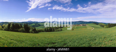 Austria, sale di proprietà della camera, lunare lago paesaggio collinare, estate Europa, alpino altopiano, Voralpen, scenario, campi campo scenario, rurally, natura, di riposo e di silenzio, idillio, stagione, verde Foto Stock