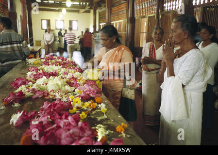 Sri Lanka, Kandy, tempio del santo cog, Dalada Maligawa, all'interno, i credenti, offrendo Asia del Sud, isola, isola di stato, provincia centrale, Distretto Capitale, luogo di interesse Santuario, tempio allegato, Buddismo, fede, religione, pellegrino del centro, cog reliquia Buddha, templi Dalada Maligava, persone, ammirazione, preghiera buddista, offrendo, recitare, fiori, fiori, Lotosblüten, sacrificio, nessun modello di rilascio! Foto Stock