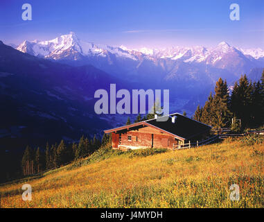Austria, Tirolo, Zillertal, Aurine Höhenstrasse, mattina tuning, visualizzare Mayrhofen, acero punto, Dristner, alpi, montagne, montagne, paesaggio, paesaggio di montagna, prato, acciaierie, alp, acciaierie di montagna, mattina tuning, idillio, esterno, deserte, Foto Stock