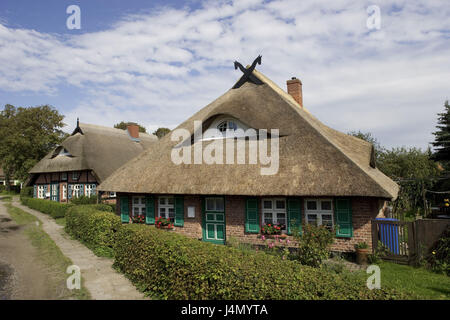 Germania, Meclemburgo-Pomerania occidentale, pesce paese, Wustrow, case residenziali, i tetti di paglia, Foto Stock