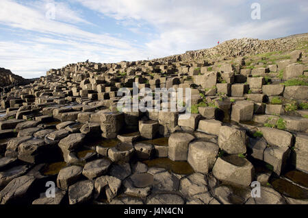 Irlanda del Nord Ulster, Derry County, costa di Antrim, giganti Causeway, Foto Stock