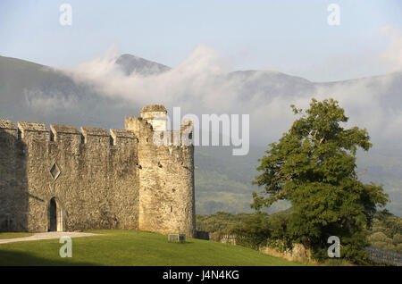 Irlanda, Munster, nella contea di Kerry, parco nazionale di Killarney, Castello di cavallo, Foto Stock