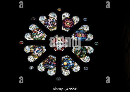 Irlanda, Munster, Cork County, sughero, San Finbarr cattedrale, vetro colorato finestra, Rosetta, Foto Stock