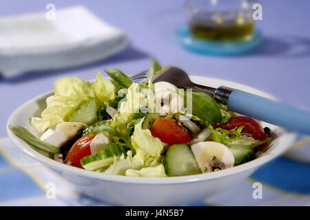 Insalata mista, materie insalata di verdure, insalata, fusi, luminosamente, pomodori Pomodori ciliegia, cetriolo, cetriolo, champignon, lattuga iceberg, lattuga, lampadine, condimento, cibo, oggetto fotografia, forcella, Foto Stock
