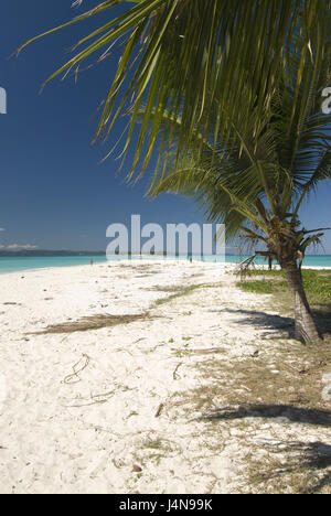 Madagascar, Nosy Iranja, mare, isola, spiaggia, palme, Foto Stock