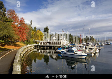 Canada, British Columbia, Vancouver, Coal Harbour, autunno, Colombia britannica, città, porto, edilizia, architettura, il lungomare, il fogliame di autunno, alberi, deserte, esterno, barche, Foto Stock