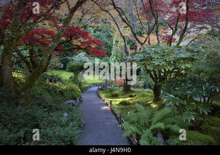 Canada, British Columbia, Vancouver Islanda, Victoria, giardino botanico, Nord America, Colombia britannica, destinazione, luogo di interesse, giardino, parco, parco, piante, turismo, Foto Stock