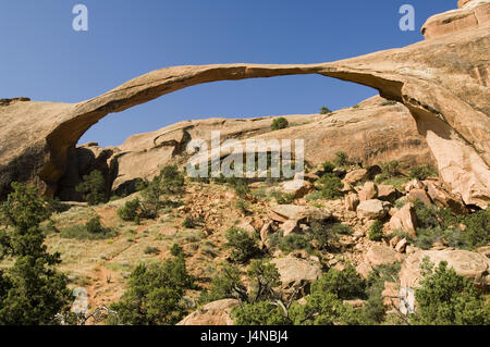 Gli Stati Uniti, Utah, Arches National Park, terra cape Arch, diavoli protezioni, Foto Stock