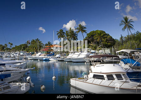 Gli Stati Uniti, Hawaii Maui Islanda, Lahaina, porto, yacht, le isole hawaiane, destinazione mare, pontile, barche, yacht harbour, barche a motore, motore yachts, palme, Foto Stock