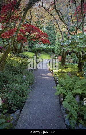 Canada, British Columbia, Vancouver Islanda, Victoria, giardino botanico, Nord America, Colombia britannica, destinazione, luogo di interesse, giardino, parco, parco, piante, turismo, deserte, Foto Stock