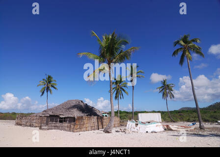 Acciaieria beach, palme, Ngazidja, Grand Comore, l'arcipelago delle Comore, Foto Stock