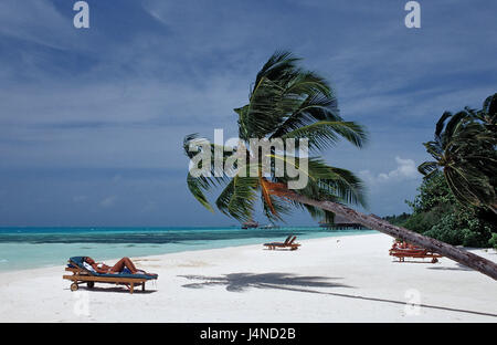 Isole Maldive, Palm Beach, sedie a sdraio, turisti, Foto Stock