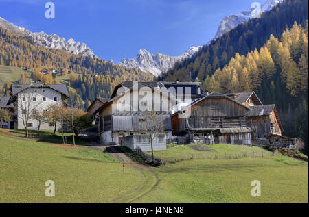 L'Italia, Alto Adige, Dolomiti, Val Badia, Wengen, riserva naturale di Fanes Alpine casaro di Praga, Foto Stock