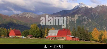 Gli Stati Uniti, Alaska, Matanuska Valley, Chugach foresta nazionale, agriturismo, Chugach foresta nazionale, autunno Foto Stock