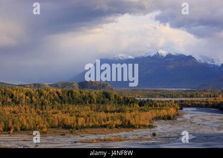 Gli Stati Uniti, Alaska, Südalaska, Matanuska Valley, Matanuska River, Chugach foresta nazionale, autunno Foto Stock