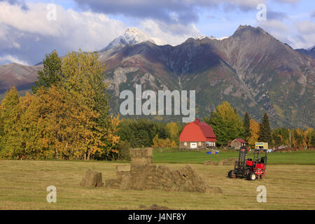 Gli Stati Uniti, Südalaska, Matanuska Valley, case coloniche, autunno, fieno raccolto, Foto Stock