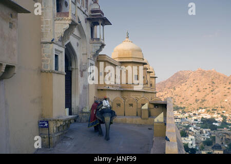 India Rajasthan, Jaipur, ambergris fort, uomo, equitazione elefante, Foto Stock